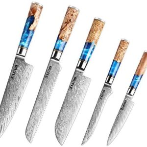XITUO Kitchen Chef Knife Set 5 Piece, 8'' Chef Knife , 7.5'' Bread Knife, 7''Santoku Knife Damascus Steel-VG10 Blue Resin Wood Handle -Gift Box - w/Knife Sheath (5PC Chef Knife Set)…