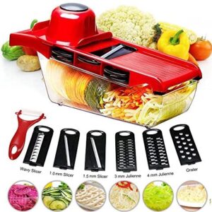 BYETOO Mandoline Slicer Vegetable Cutter Grater Chopper Julienne Slicer-6 Interchangeable Blades Peeler,Hand Protector,Food Storage Container - Cutter Potato,Tomato,Onion,Cheese,Cucumber etc