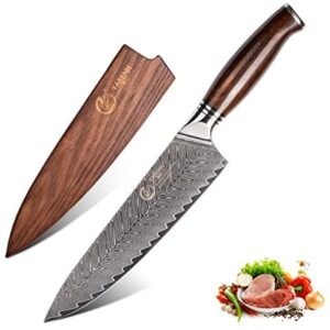 YARENH Professional Chef Knife 8 inch with Sheath - 73 Layers Japanese Damascus High Carbon Steel - Full Tang Dalbergia Wood Handle - FYW Series